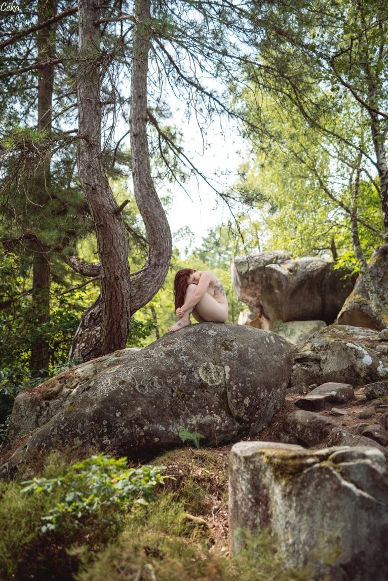 Paysage Forêt de Fontainebleau en Lumière naturelle