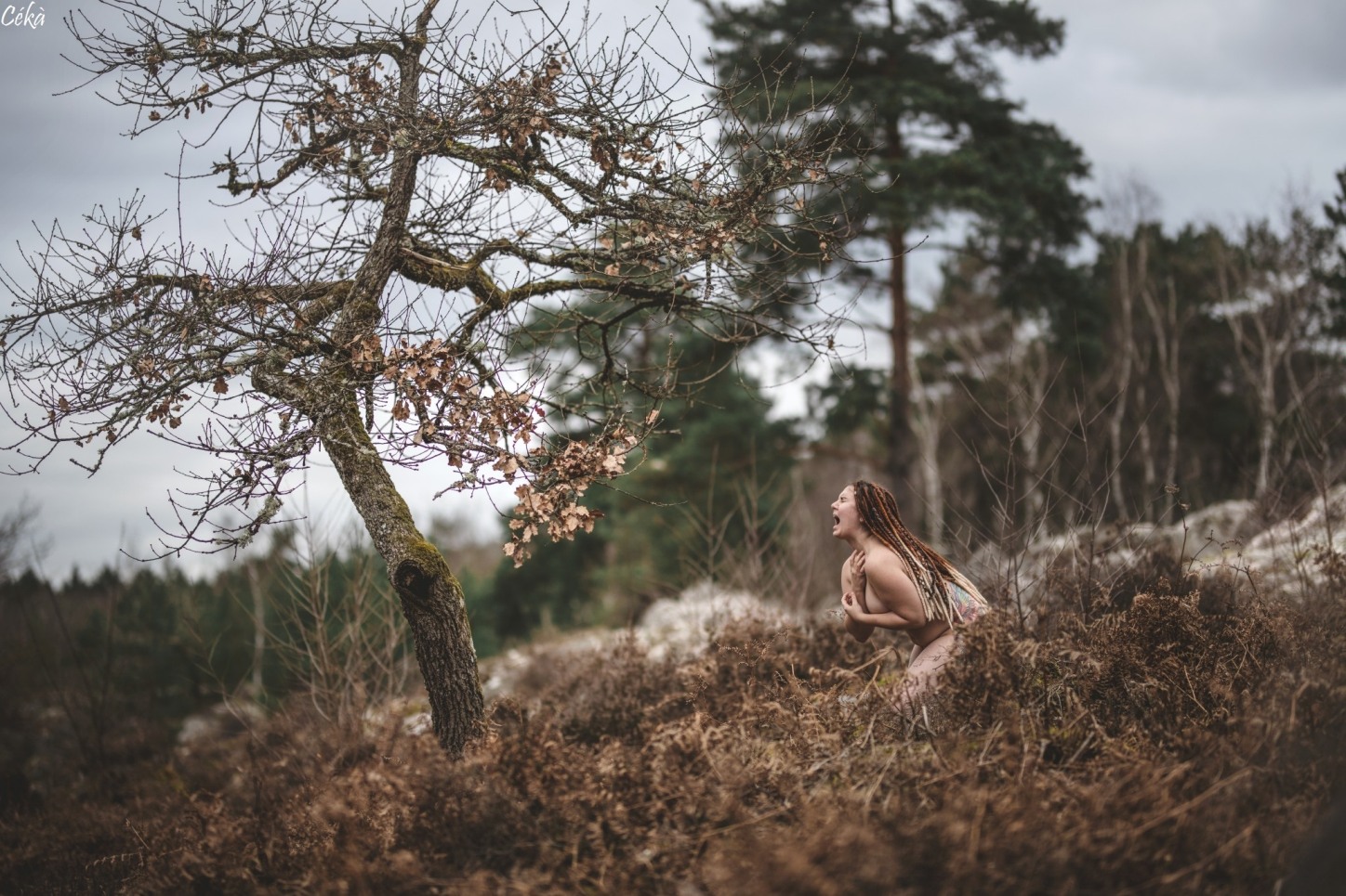 Portrait Forêt Fontainebleau Lumière naturelle