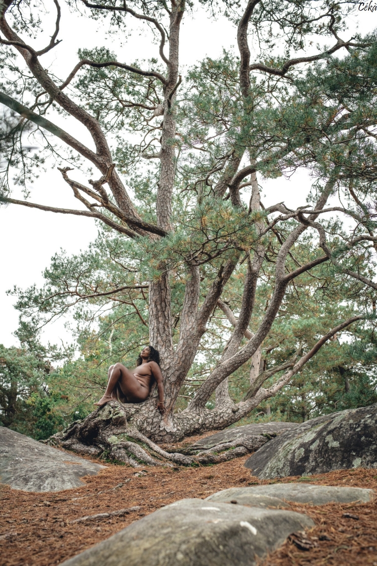 Portrait Forêt Photographe Melun Paris